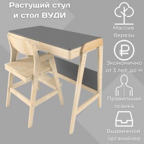 Комплект растущий стол и стул 38 попугаев «Вуди» (Серый, Без покрытия) в Губкинском - gubkinskiy.mebel-74.com | фото