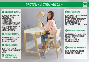 Комплект растущий стол и стул 38 попугаев «Вуди» (Серый, Без покрытия) в Губкинском - gubkinskiy.mebel-74.com | фото