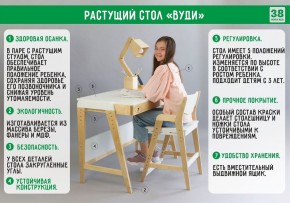 Комплект растущий стол и стул с чехлом 38 попугаев «Вуди» (Белый, Белый, Салют) в Губкинском - gubkinskiy.mebel-74.com | фото