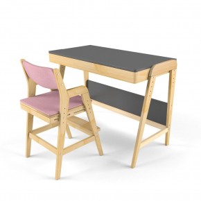 Комплект растущий стол и стул с чехлом 38 попугаев «Вуди» (Серый, Береза, Розовый) в Губкинском - gubkinskiy.mebel-74.com | фото