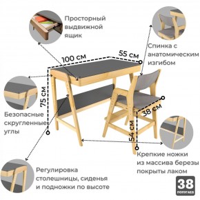 Комплект растущий стол и стул с чехлом 38 попугаев «Вуди» (Серый, Береза, Серый) в Губкинском - gubkinskiy.mebel-74.com | фото