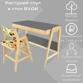 Комплект растущий стол и стул с чехлом 38 попугаев «Вуди» (Серый, Без покрытия, Монстры) в Губкинском - gubkinskiy.mebel-74.com | фото