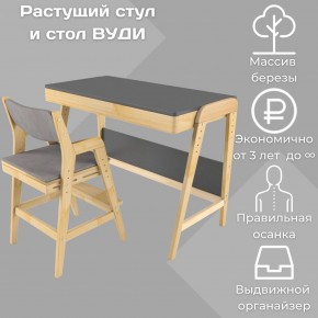 Комплект растущий стол и стул с чехлом 38 попугаев «Вуди» (Серый, Без покрытия, Серый) в Губкинском - gubkinskiy.mebel-74.com | фото