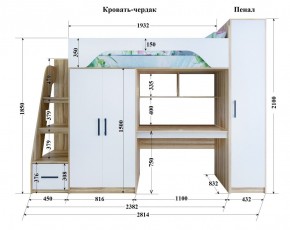 Кровать-чердак Тея (*Без Пенала) в Губкинском - gubkinskiy.mebel-74.com | фото