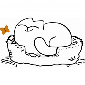 Кровать двухуровневая Кот № 900.1 ЛЕВАЯ (туя светлая/белый) в Губкинском - gubkinskiy.mebel-74.com | фото