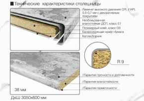 Кухонный фартук со столешницей (А-04) в едином стиле (3050 мм) в Губкинском - gubkinskiy.mebel-74.com | фото
