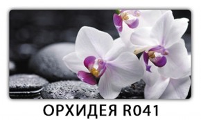 Обеденный раздвижной стол Бриз с фотопечатью Орхидея R041 в Губкинском - gubkinskiy.mebel-74.com | фото