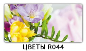 Обеденный раздвижной стол Бриз с фотопечатью Цветы R044 в Губкинском - gubkinskiy.mebel-74.com | фото