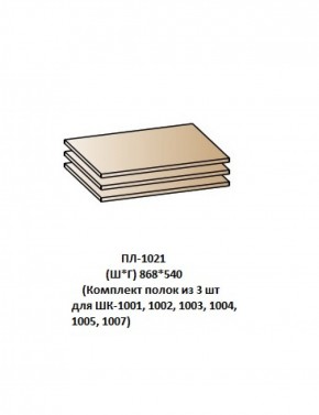 ПЛ-1021 (Комплект полок из 3 шт для ШК-1001, 1002, 1003, 1004, 1005, 1007) в Губкинском - gubkinskiy.mebel-74.com | фото