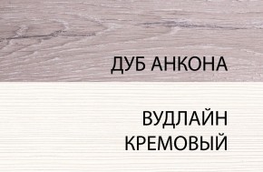 Шкаф 1DG, OLIVIA, цвет вудлайн крем/дуб анкона в Губкинском - gubkinskiy.mebel-74.com | фото