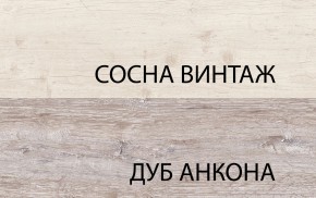 Шкаф 2D1S, MONAKO, цвет Сосна винтаж/дуб анкона в Губкинском - gubkinskiy.mebel-74.com | фото