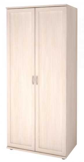 Шкаф для одежды 2-х дверный Ника-Люкс 21 в Губкинском - gubkinskiy.mebel-74.com | фото