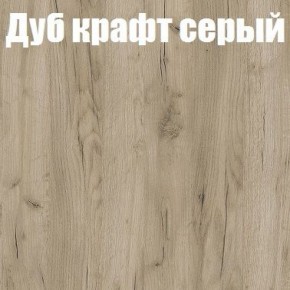 Шкаф-купе Эдем 1.5 (Дуб Крафт серый/Бетонный камень) двери ЛДСП в Губкинском - gubkinskiy.mebel-74.com | фото