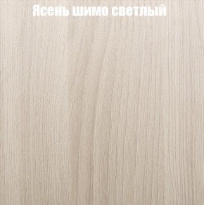 Шкаф-купе «ТАНДЕМ» 2-х дверный в алюминиевом профиле (Дверь К+К) 1200/h2200 в Губкинском - gubkinskiy.mebel-74.com | фото