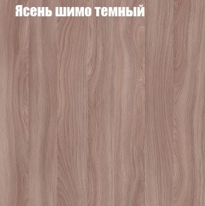 Шкаф-купе «ТАНДЕМ» 2-х дверный в алюминиевом профиле (Дверь К+К) 1800/h2200 в Губкинском - gubkinskiy.mebel-74.com | фото