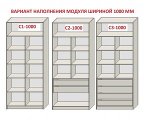 Шкаф распашной серия «ЗЕВС» (PL3/С1/PL2) в Губкинском - gubkinskiy.mebel-74.com | фото