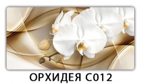 Стол раздвижной Трилогия с фотопечатью Орхидея C012 в Губкинском - gubkinskiy.mebel-74.com | фото