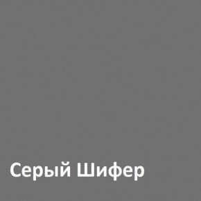 Юнона Шкаф торцевой 13.221 в Губкинском - gubkinskiy.mebel-74.com | фото